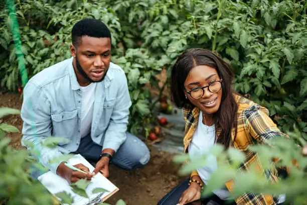 Smart Agribusiness